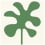 Zementfliese L'Algue Verte Carocim L'algue verte SU-022//16