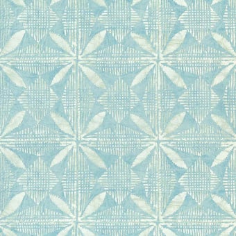 Tortuga wallpaper