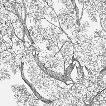 Panoramic Trees Wallpaper