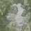 Papel pintado panorámico Sherwood Code Light green C8203