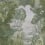 Sherwood panoramic wallpaper Code Light green C8203