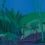 My Thai panoramic wallpaper Code Midnight C7203