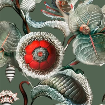 Coccinella Bella Wall Covering