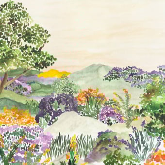 Garrigue Wallpaper