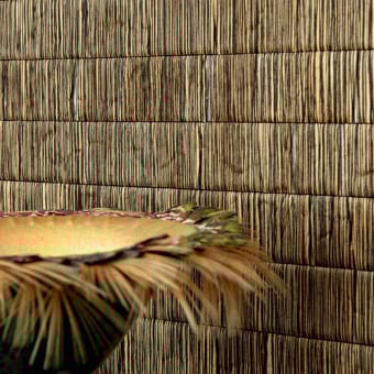 Water lily wall covering