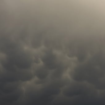 Panoramatapete Flemish Light 02.07 - 14:02