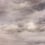 Flemish Light panoramic wallpaper Papier français  Acier FL 0709 1759
