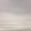 Panorama-Tapete Flemish Light Papier français  Brouillard FL 1309 1334