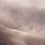 Flemish Light panoramic wallpaper Papier français  Pétale FL 1409 1824