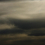 Flemish Light panoramic wallpaper Papier français  Miel FL 2412 1209