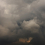 Flemish Light panoramic wallpaper Papier français  Cendre Noire FL 1306 1832