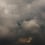 Papier peint panoramique Flemish Light Papier français  Cendre Noire FL 1306 1832