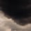 Flemish Light panoramic wallpaper Papier français  Sombre FL 2207 1549