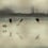 Papel pintado panorámico Doñana Coordonné Gold B00818