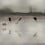 Doñana panoramic wallpaper Coordonné Silver B00819