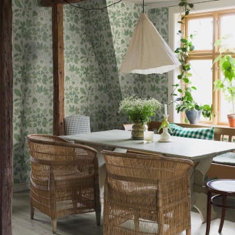 Papier peint Arboretum Papier peint Arboretum