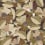 Florelle wallpaper Papier français  Café au lait AD-002-002-ROLL