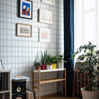 Papier peint Check 11,5
