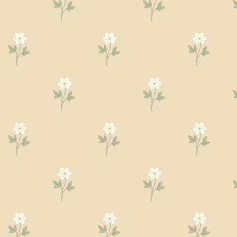 Papier peint Anemone