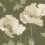 Vallmo Grand panoramic wallpaper Borastapeter Sauge 9655w