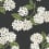 Papier peint adhésif Hydrangea Rifle Paper Co. Black & White PSW1618RL