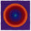 Tappeto Domino Circle AMINI Negative Amini-36692