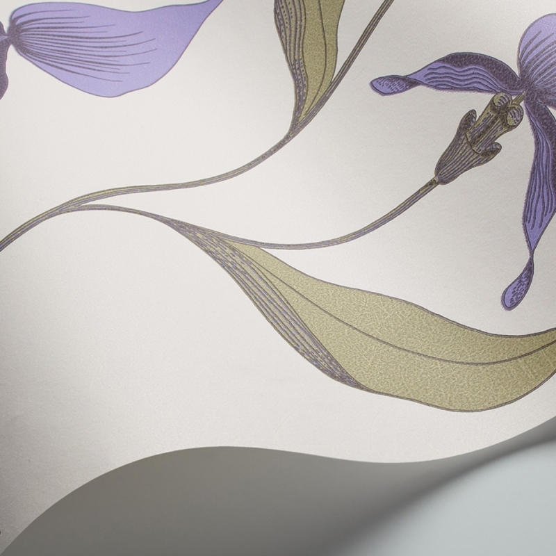 Orchid Wallpaper Cole and Son