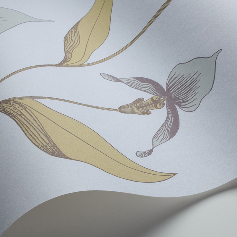 Orchid Wallpaper Cole and Son