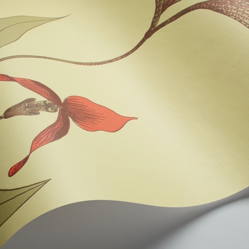 Orchid Wallpaper Cole and Son
