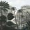 Panoramic wallpaper The Amazonian Soul London Art Émeraude BNV03-A