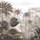 Panoramic wallpaper The Amazonian Soul London Art Caramel BNV03-D
