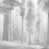 Papel pintado panorámico El Bosque Eterno London Art Acier BNV06-C