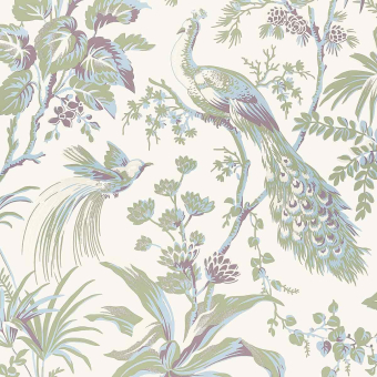 Peacock Canvas Wallpaper