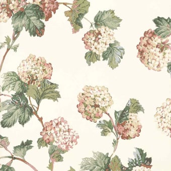 Papel pintado Sussex Hydrangea