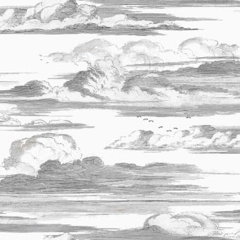 Cielo Tapete