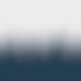 Ray fabric