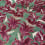 Balaustine-Samt Marvic Textiles Flamant 4479