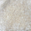 Velours Washed Antoine d'Albiousse Écume washed-546