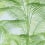 Papier peint Delray Thibaut Green and Blue T13937