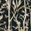Bambou Toile Wallpaper York Wallcoverings Black RT7834