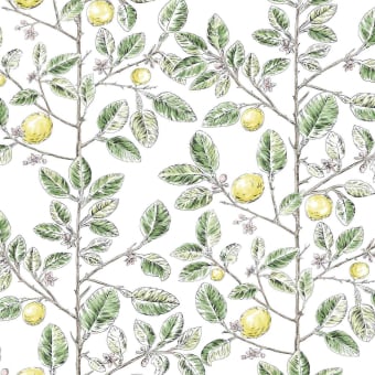 Papier peint Limoncello Toile