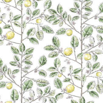 Tapete Limoncello Toile