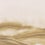 Papier peint panoramique Atmospheric Haze Coordonné Amber /A00163