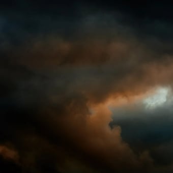 Papier peint panoramique Flemish Light 03.02 - 18:12