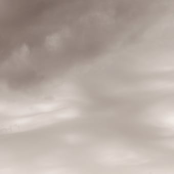 Flemish Light 05.07 - 13:11 panoramic wallpaper