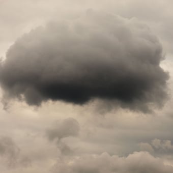 Papier peint panoramique Flemish Light 05.09 - 14:03