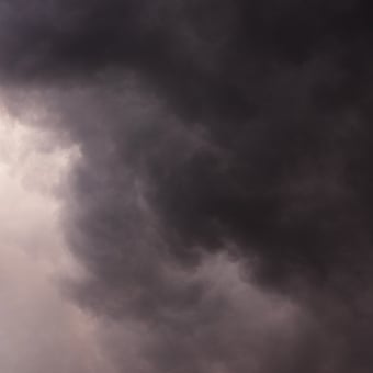 Papier peint panoramique Flemish Light 05.09 - 19:36