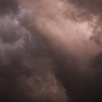 Flemish Light 05.09 - 19:37 panoramic wallpaper