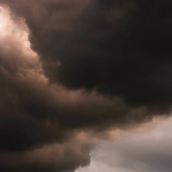 Panoramic wallpaper Flemish Light 05.09 - 19:38