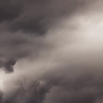 Papier peint panoramique Flemish Light 06.09 - 12:39